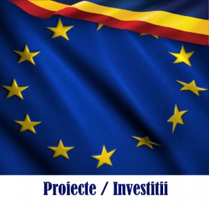 Proiecte / Investitii