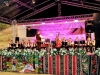 Festivalul Național de Folclor "Munte, Munte, Brad Frumos "  Ediția a  XXV-a, 9-11 august 2024