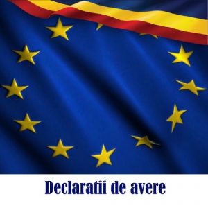 Declaratii de avere