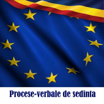 Procese-verbale de sedinta