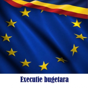 Executie bugetara