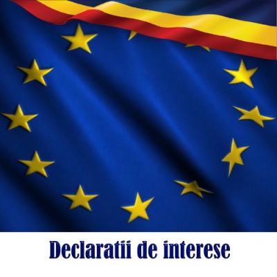 Declaratii de interese