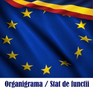 Organigrama / Stat de functii